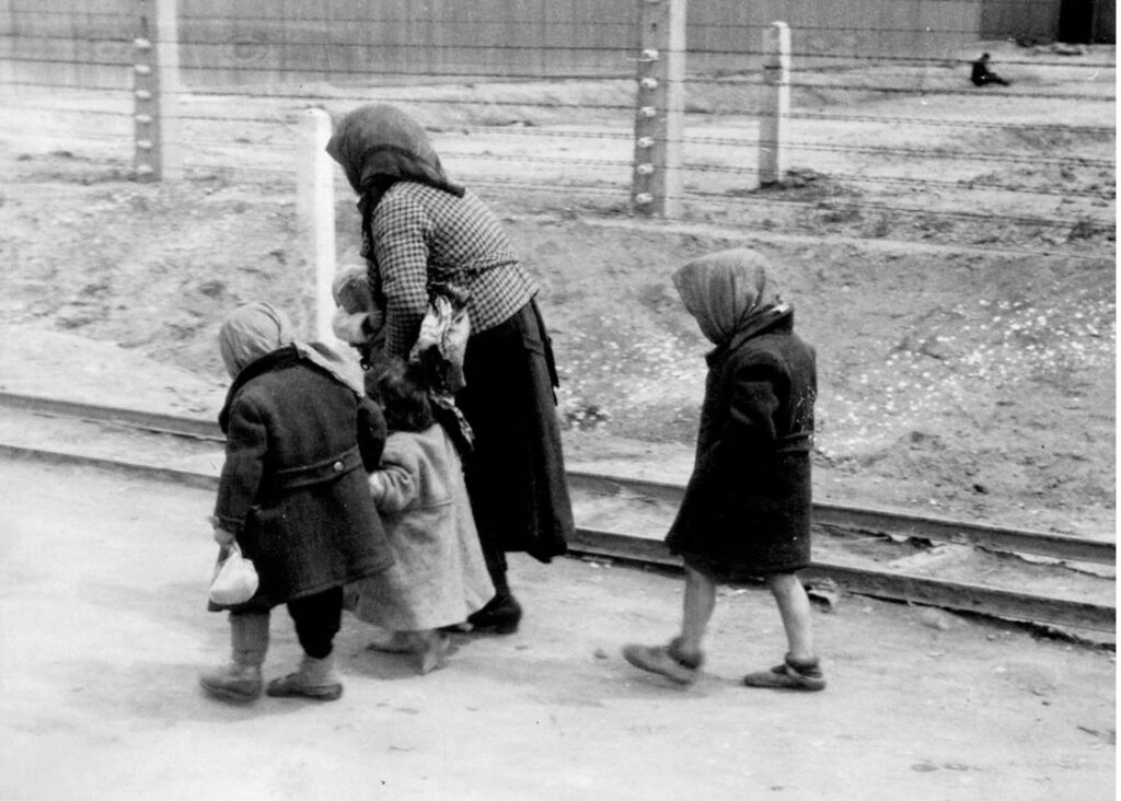 Holocaust
Auschwitz
Conspiracy theories